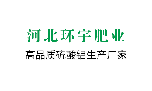 華智天誠(chéng)助力金大惠公司啟動(dòng)精益6S管理，開(kāi)啟高效運(yùn)營(yíng)新篇章
